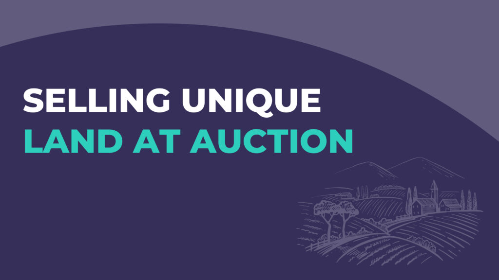 Selling Unique Land at Auction