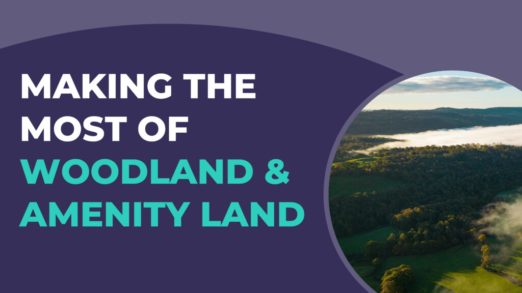 Woodland and Amenity Land